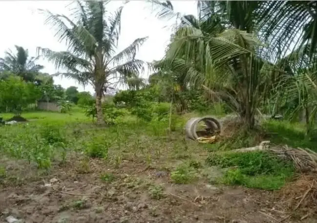 Land in Kilifi - Basi